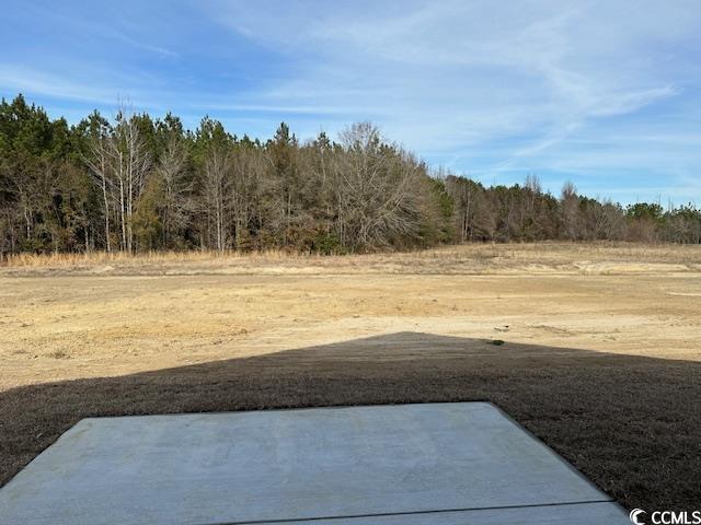 4883 Joyner Swamp Road Galivants Ferry, SC 29544 - Photo 14 of 15 Gallery Image 14