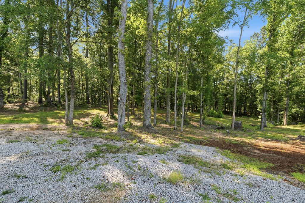 313 Scuffleboro Road Southeast Eatonton, GA 31024 - Photo 7 of 46 Gallery Image 7