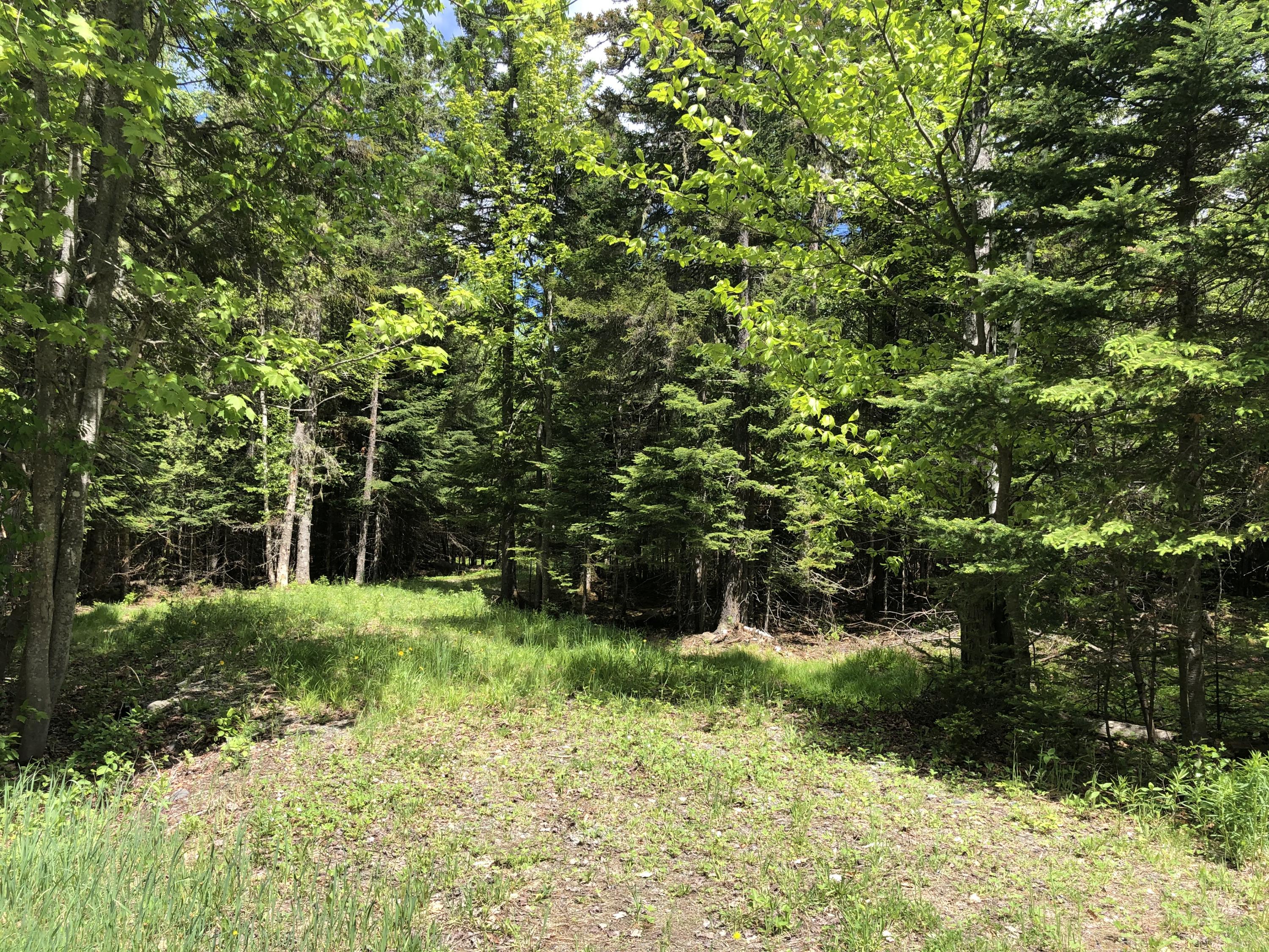 66 Babb Road Rangeley, ME 04970 - Photo 2 of 4 F2808E83-D174-432E-B8ED-C9F31AA51973