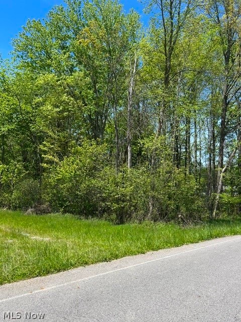 8086 South Raccoon Road Canfield, OH 44406 - Photo 3 of 6