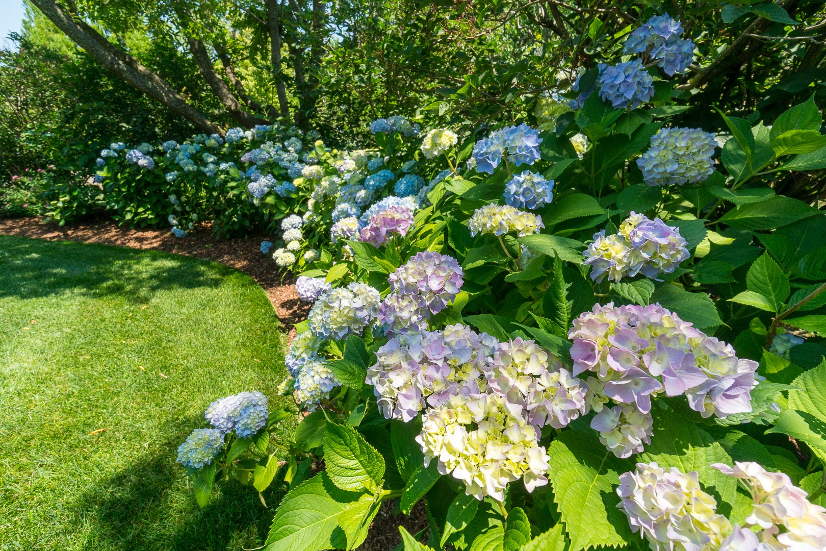 8 Monomoy Road Nantucket, MA 02554 - Photo 73 of 76 Gallery Image 73