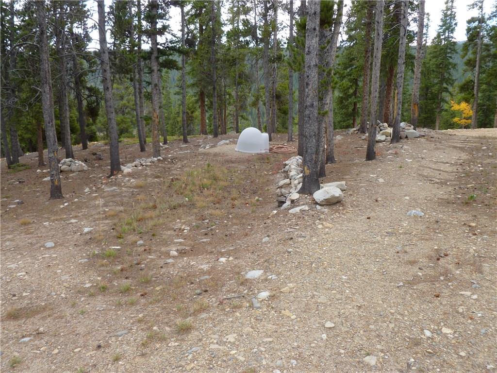 970 Guymard Road Fairplay, CO 80440 - Photo 12 of 35 Gallery Image 12