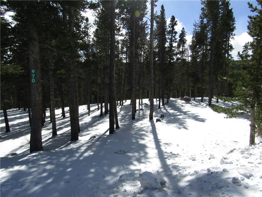 970 Guymard Road Fairplay, CO 80440 - Photo 13 of 35 Gallery Image 13
