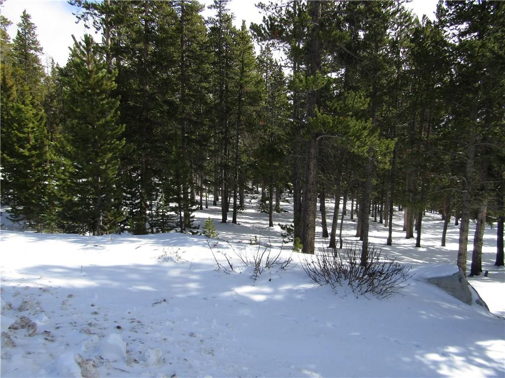 970 Guymard Road Fairplay, CO 80440 - Photo 17 of 35 Gallery Image 17