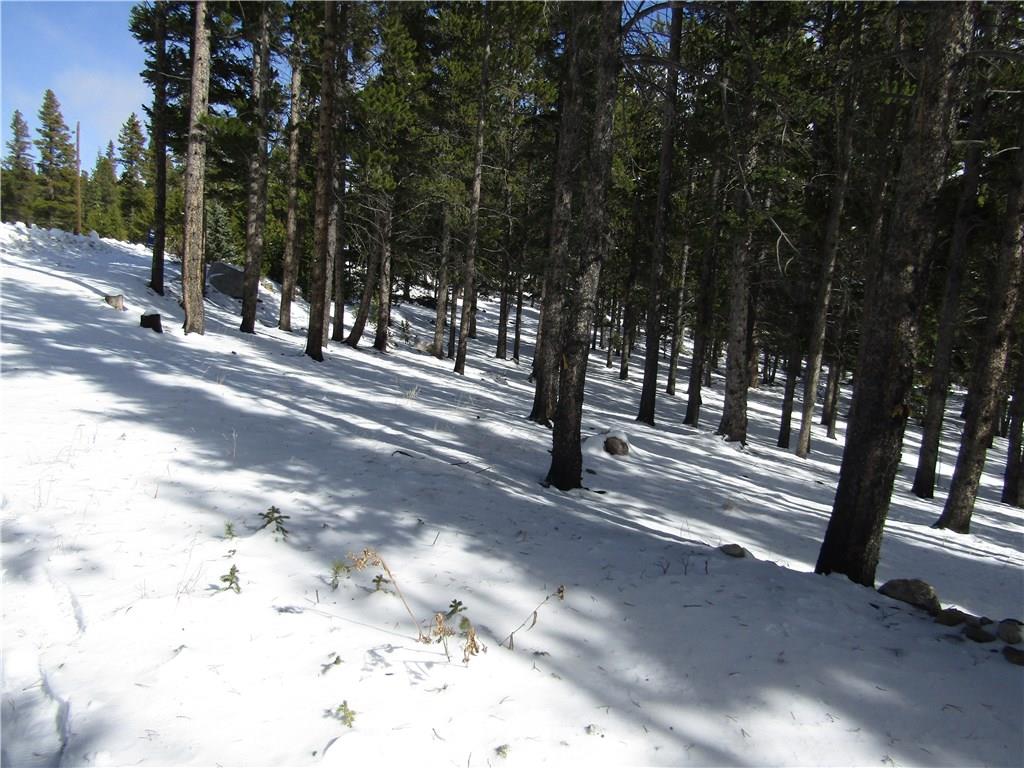 970 Guymard Road Fairplay, CO 80440 - Photo 26 of 35 Gallery Image 26