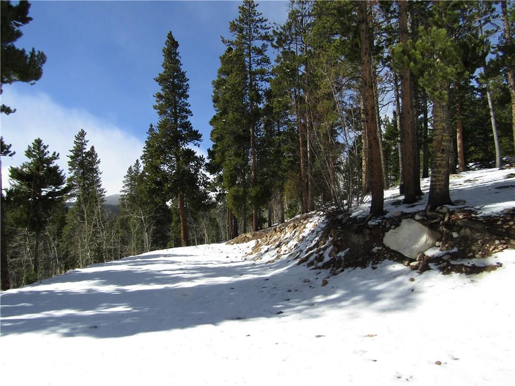 970 Guymard Road Fairplay, CO 80440 - Photo 31 of 35 Gallery Image 31