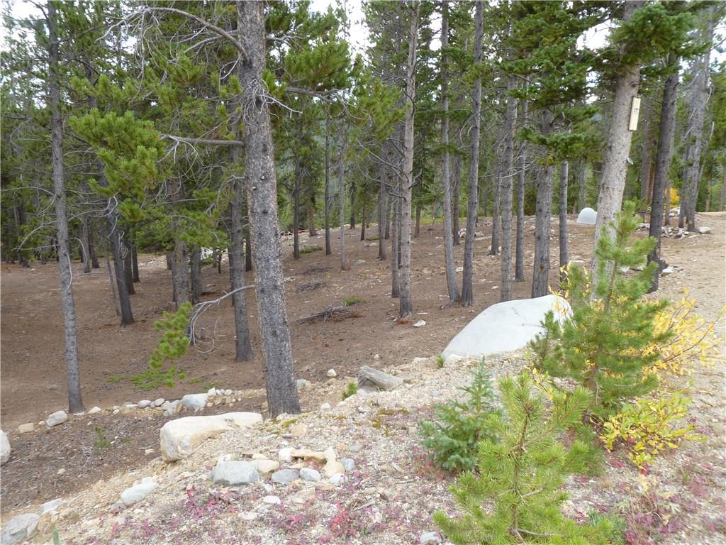 970 Guymard Road Fairplay, CO 80440 - Photo 5 of 35 Gallery Image 5