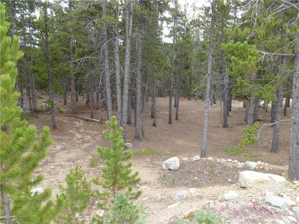 970 Guymard Road Fairplay, CO 80440 - Photo 6 of 35 Gallery Image 6