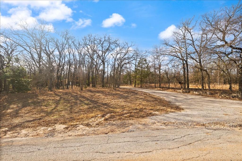 100 Sands Drive Azle, TX 76020 - Photo 7 of 31 a view of road with snow