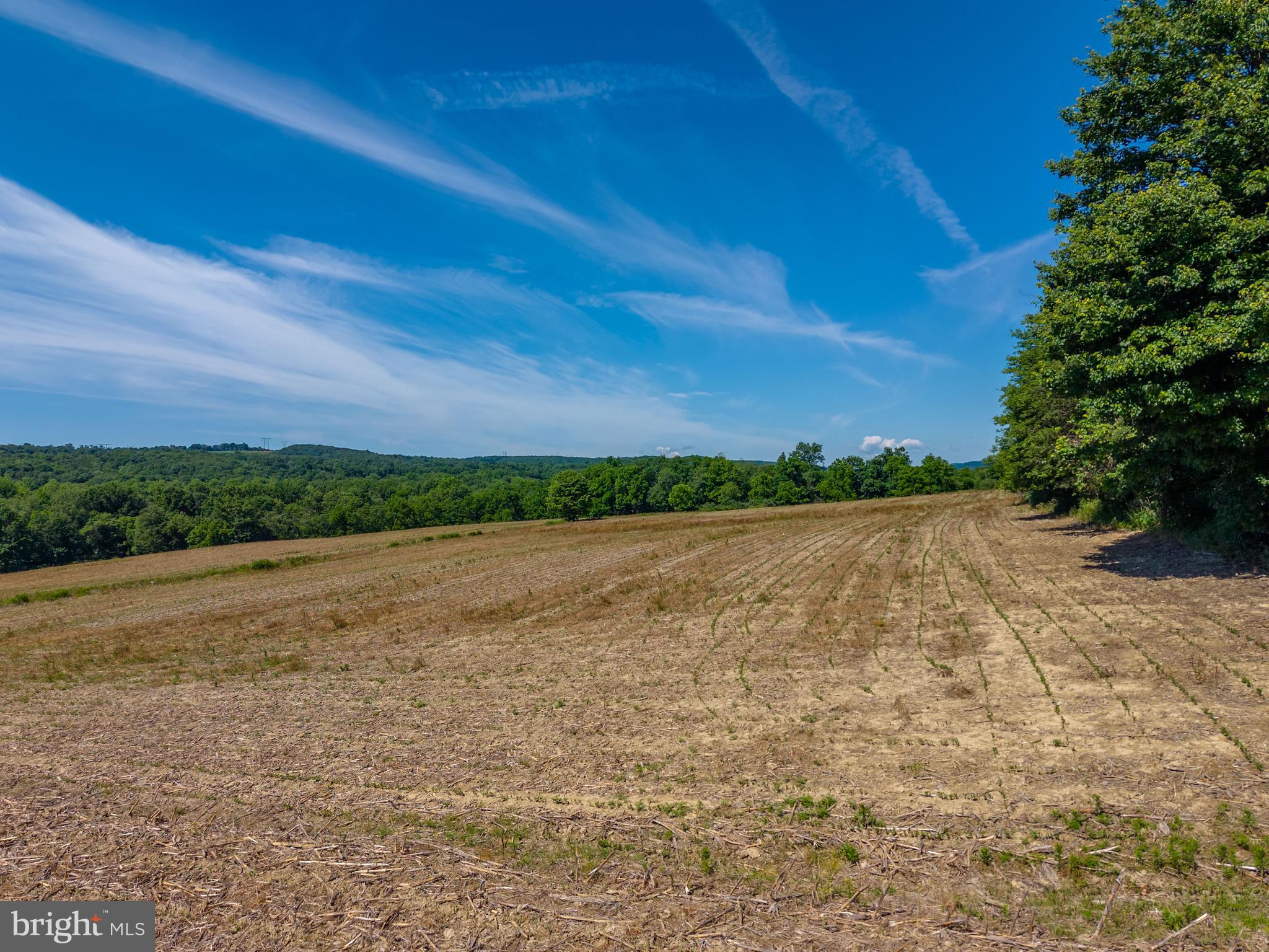 0 Snydertown Road, Unit 2 LOT Sunbury, PA 17801 - Photo 11 of 20