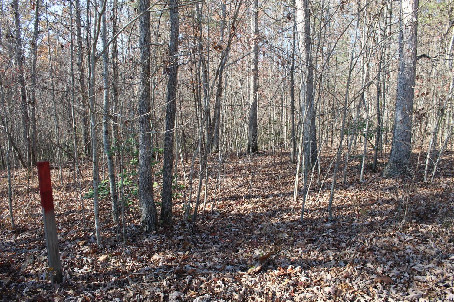 576 Angel Falls Road, Unit LOT18 Zoe, KY 41397 - Photo 10 of 24 Photo 10