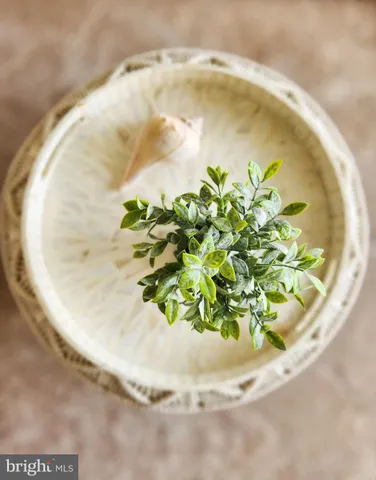 a white vase with a yellow plant