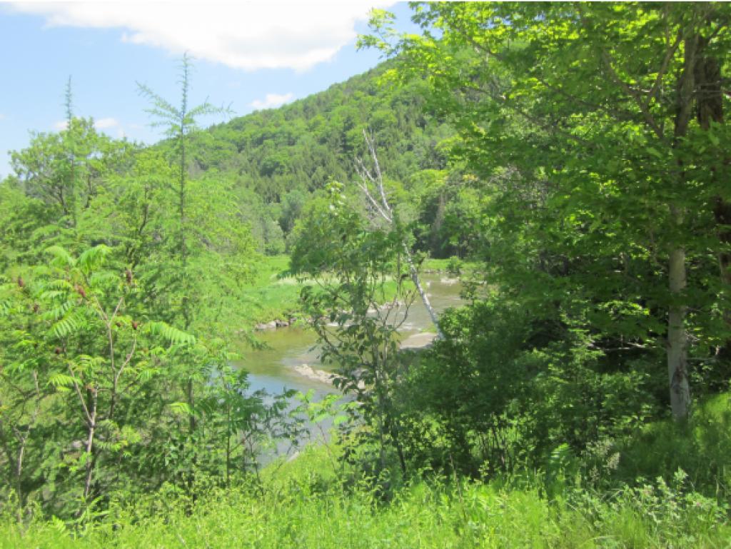 7 Moxley Road Chelsea, VT 05038 - Photo 5 of 18