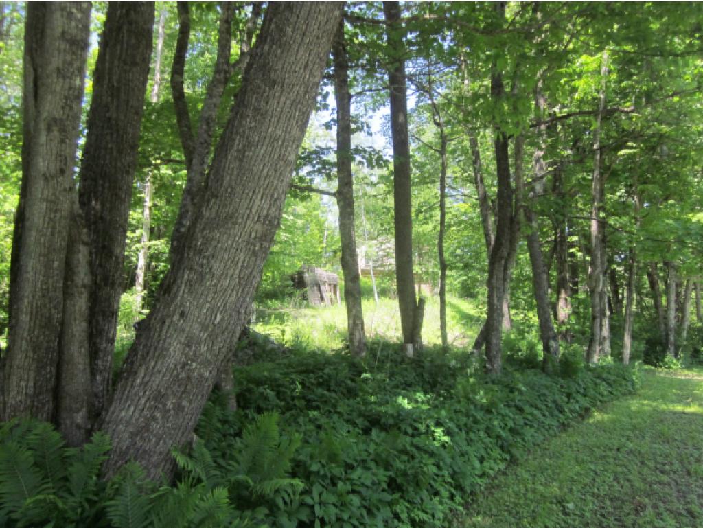 7 Moxley Road Chelsea, VT 05038 - Photo 8 of 18