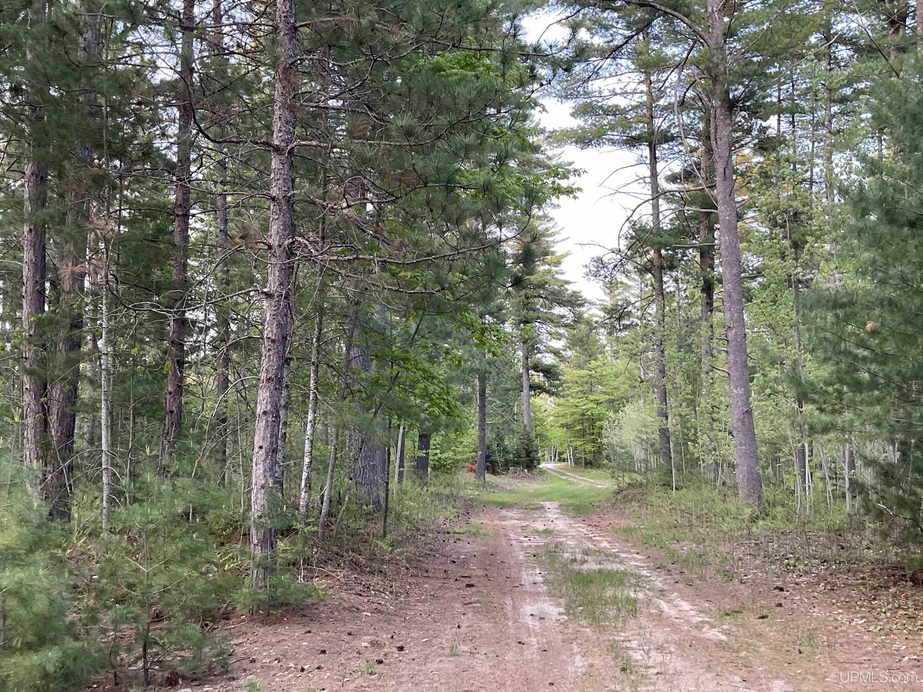 6627 West Co Road Manistique, MI 49854 - Photo 26 of 33