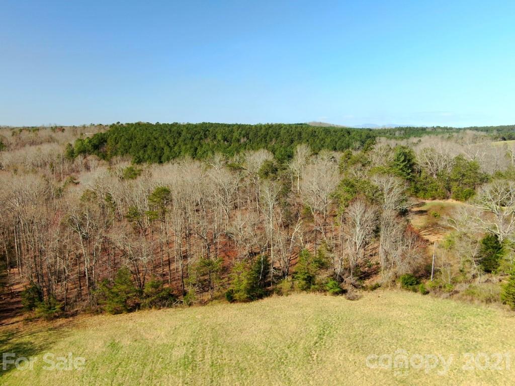 0 Duncan Road Rutherfordton, NC 28139 - Photo 5 of 6