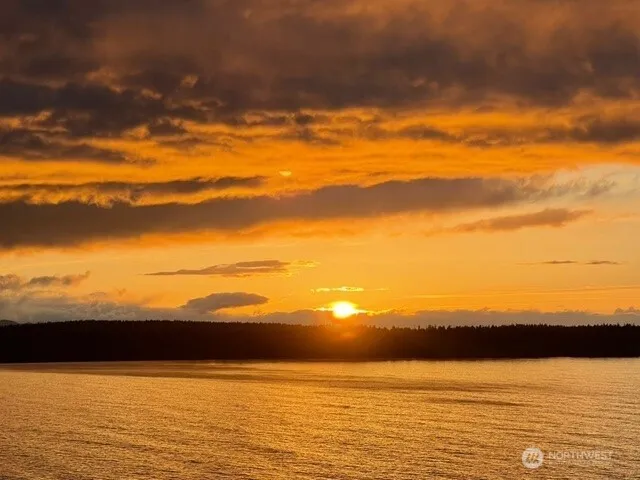 a view of a tree is outside of a house
