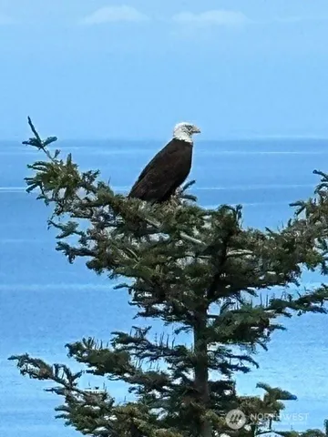 a view of yard with outdoor seating