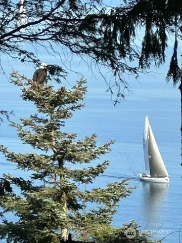 a view of a yard with street