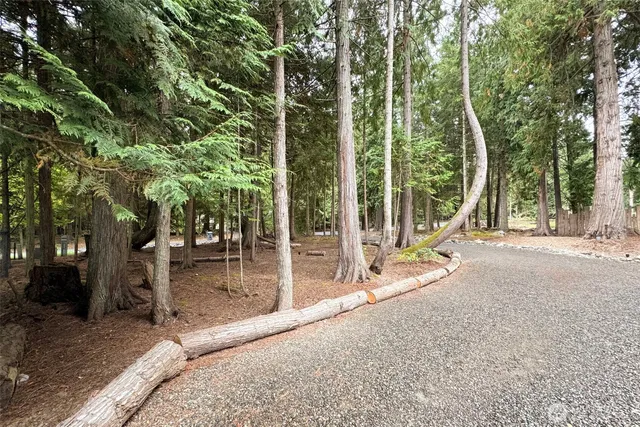 a view of a backyard