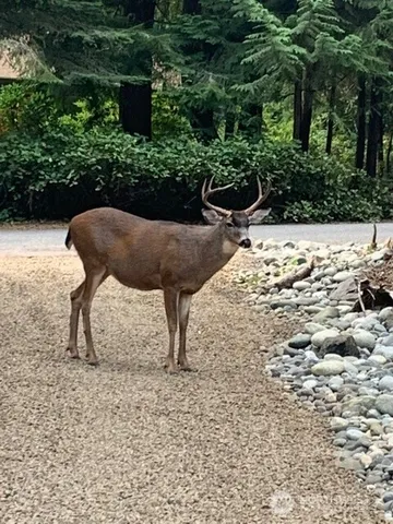 a park view with a bench