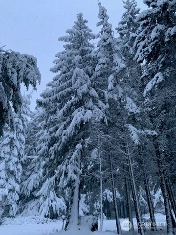 $2,100 | 392 Buck Loop Road, Sequim, WA 98382