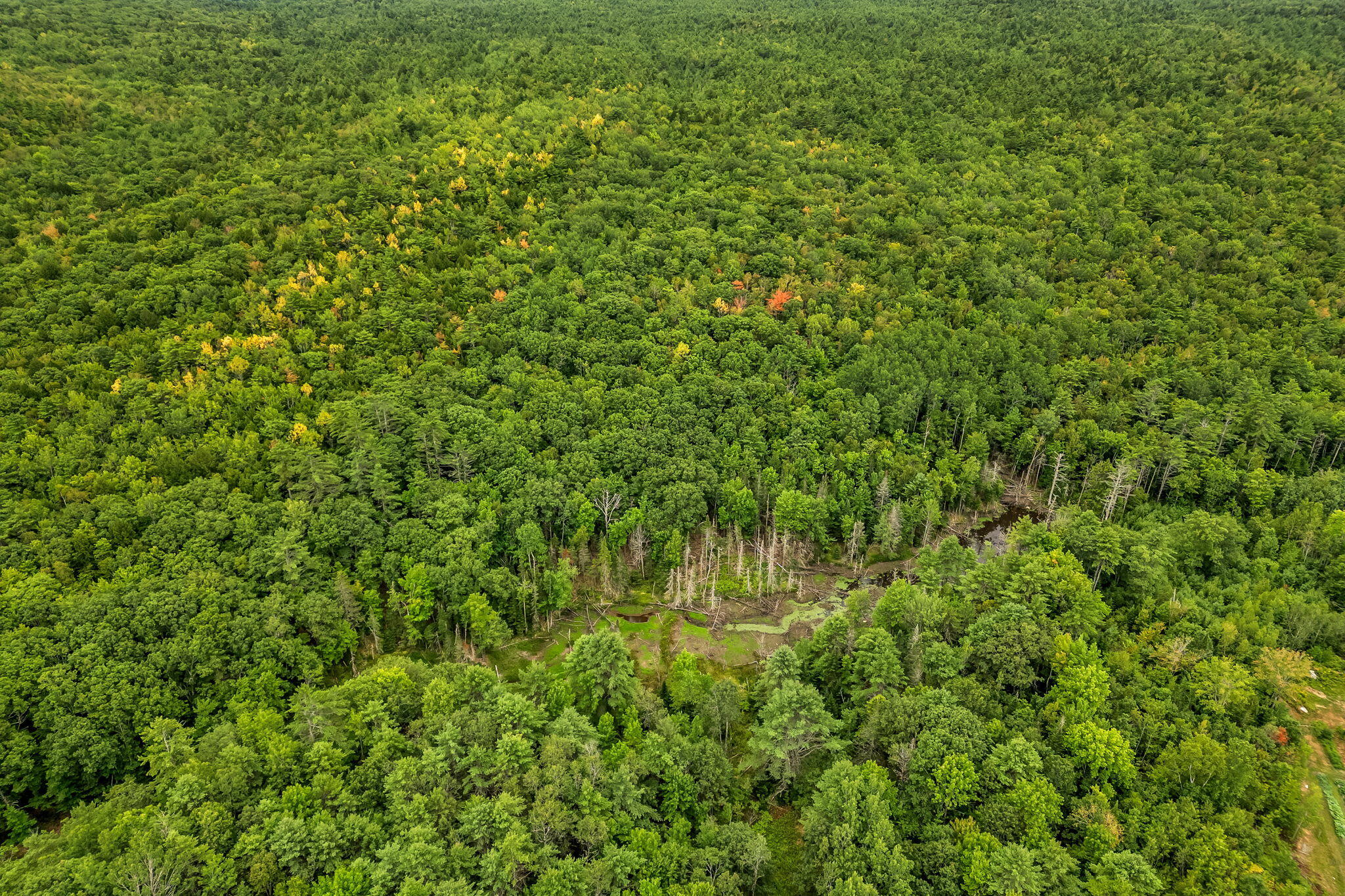 Lot 49 West Burrough Road Bowdoin, ME 04287 - Photo 11 of 22 10-web-or-mls-w-burrough-rd