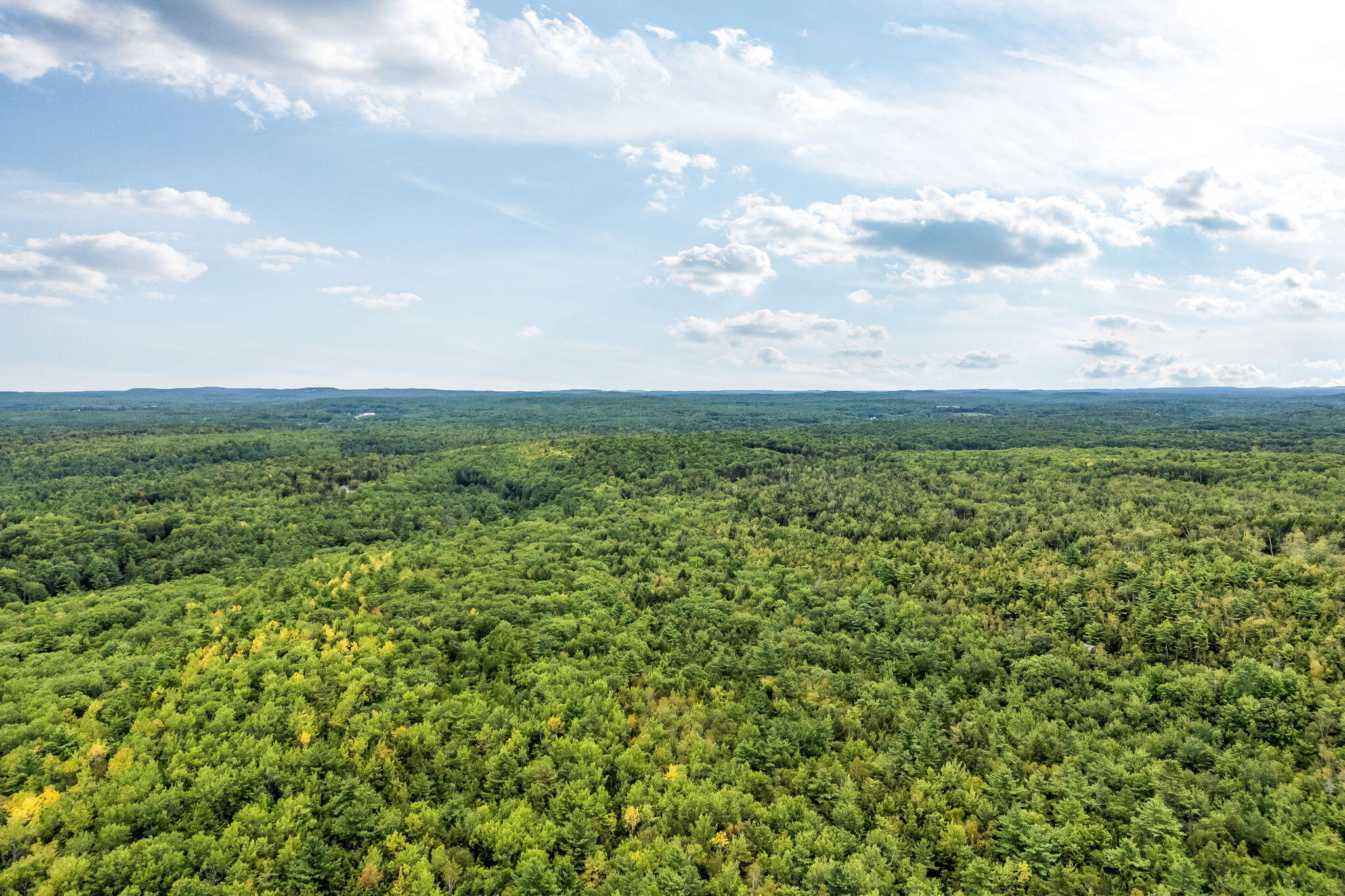 Lot 49 West Burrough Road Bowdoin, ME 04287 - Photo 14 of 22 13-web-or-mls-w-burrough-rd