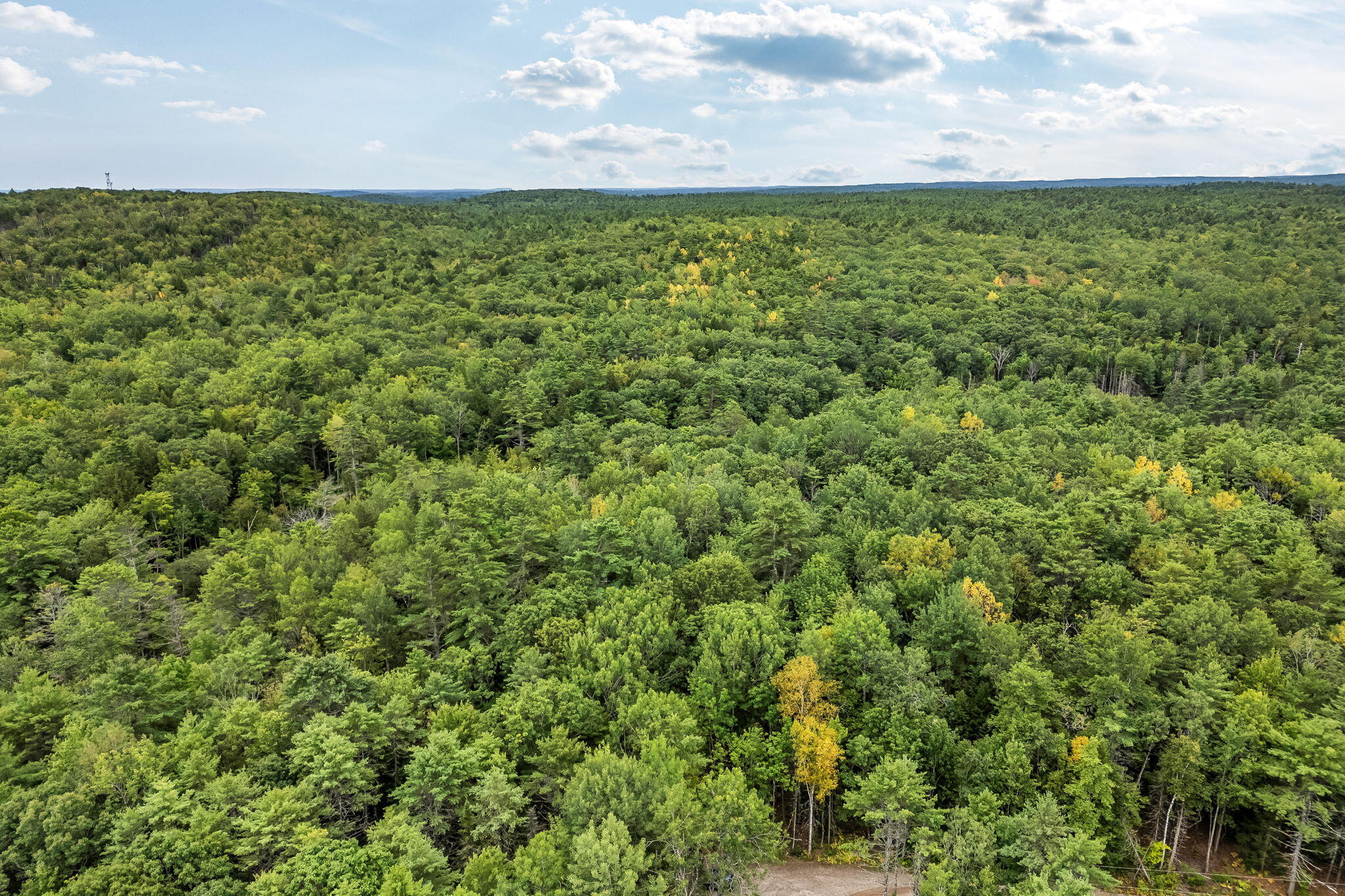 Lot 49 West Burrough Road Bowdoin, ME 04287 - Photo 2 of 22 1-web-or-mls-w-burrough-rd