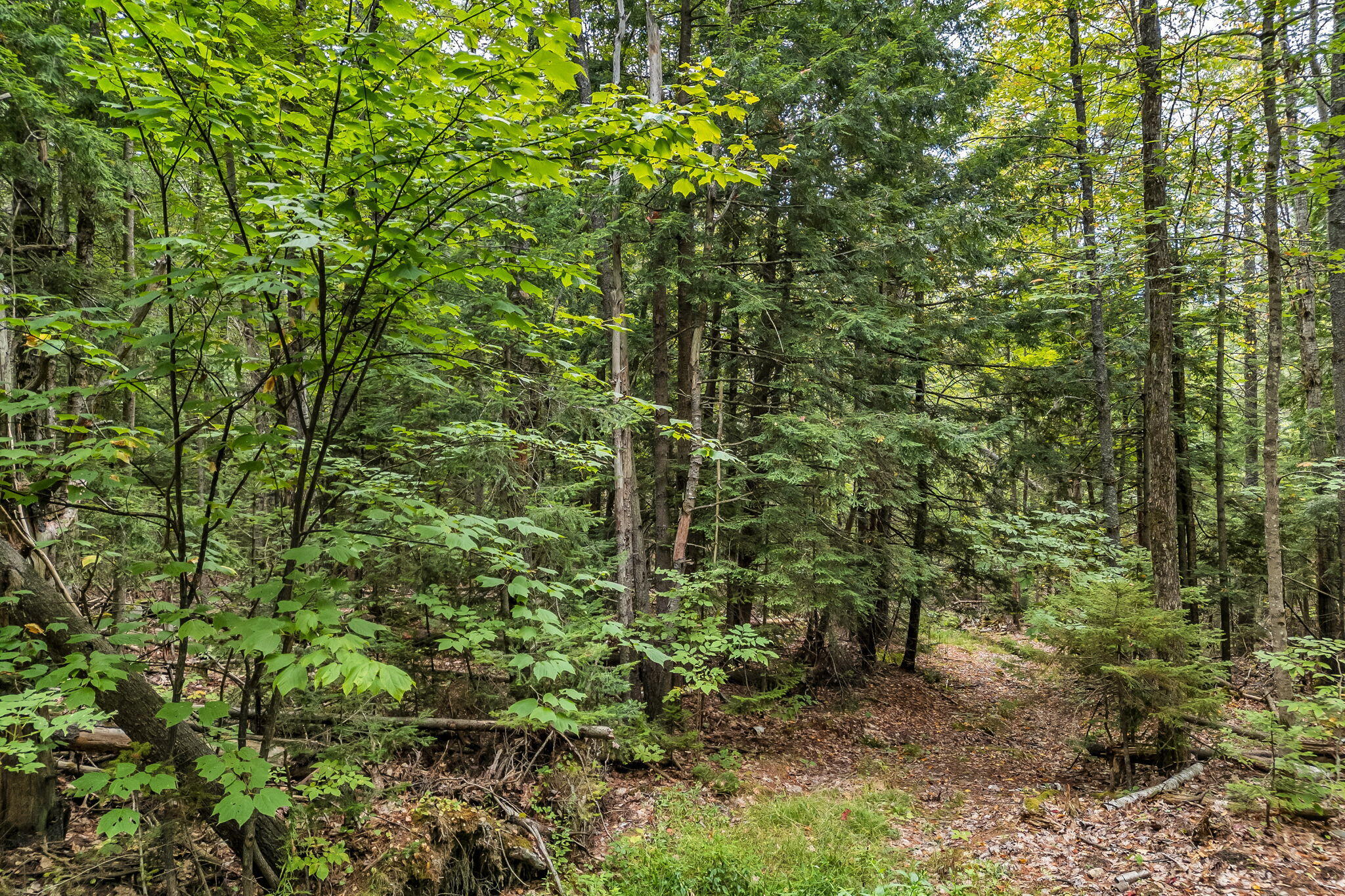 Lot 49 West Burrough Road Bowdoin, ME 04287 - Photo 21 of 22 20-web-or-mls-w-burrough-rd