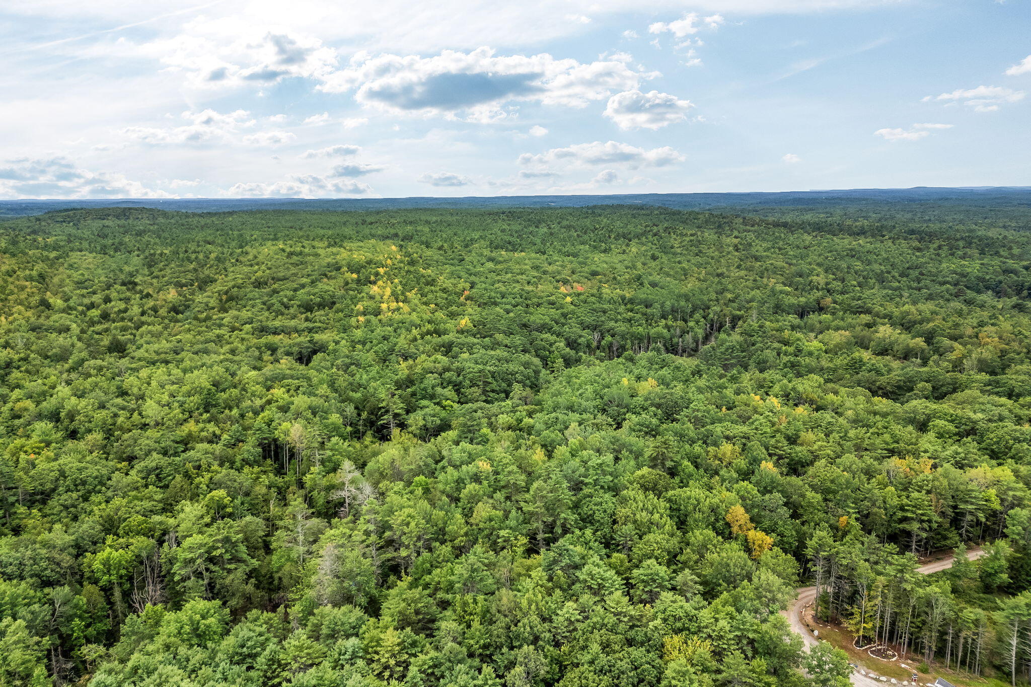 Lot 49 West Burrough Road Bowdoin, ME 04287 - Photo 3 of 22 2-web-or-mls-w-burrough-rd