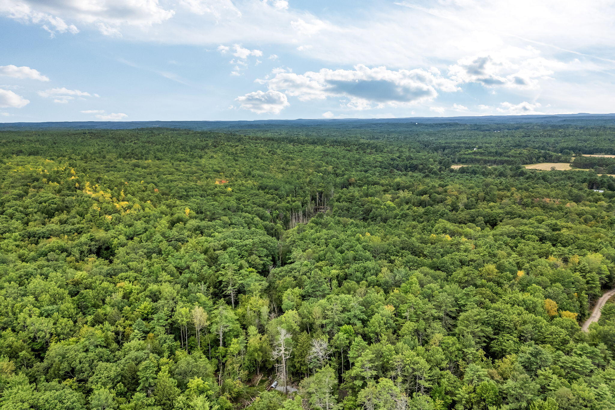 Lot 49 West Burrough Road Bowdoin, ME 04287 - Photo 4 of 22 3-web-or-mls-w-burrough-rd