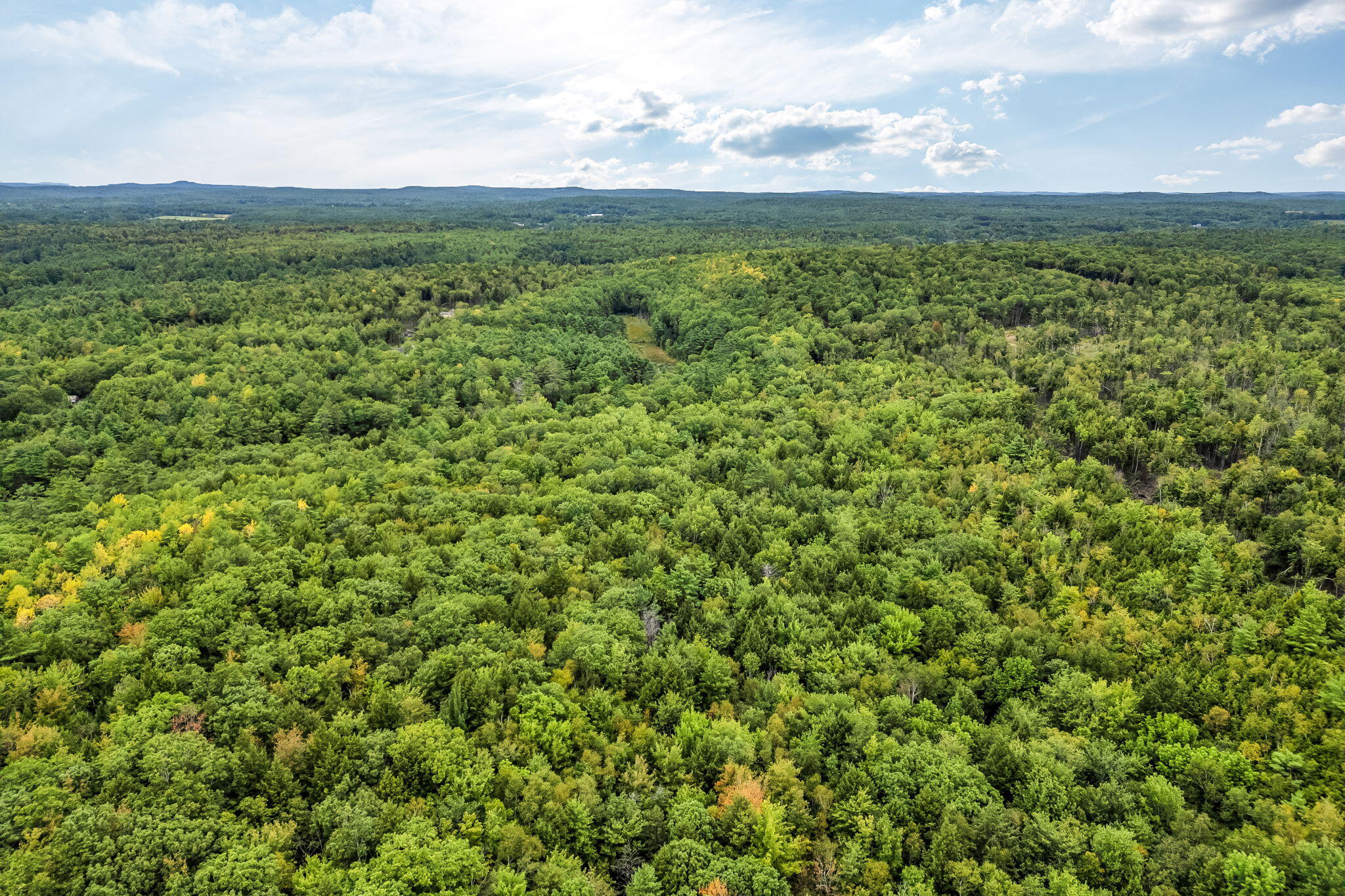 Lot 49 West Burrough Road Bowdoin, ME 04287 - Photo 7 of 22 6-web-or-mls-w-burrough-rd