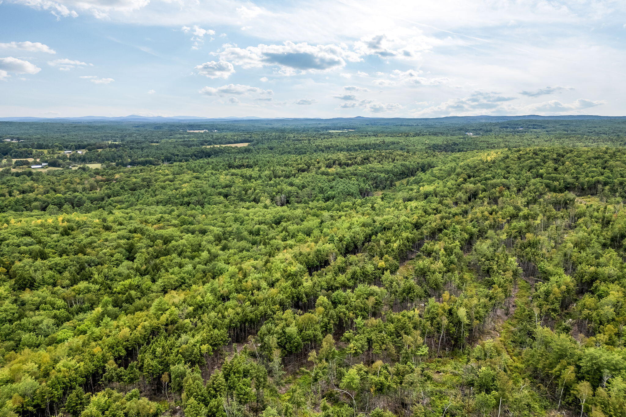 Lot 49 West Burrough Road Bowdoin, ME 04287 - Photo 8 of 22 7-web-or-mls-w-burrough-rd