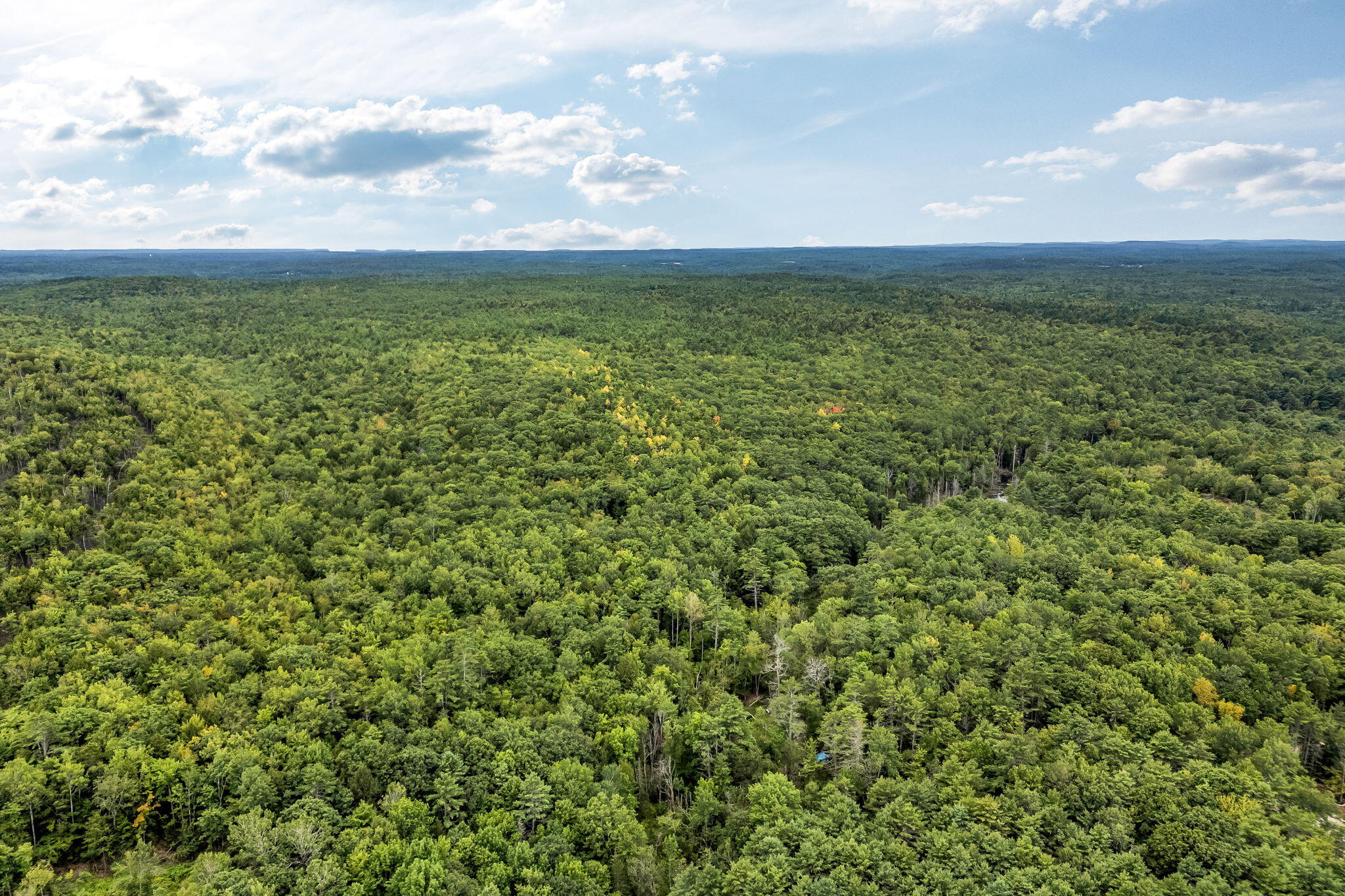 Lot 49 West Burrough Road Bowdoin, ME 04287 - Photo 9 of 22 8-web-or-mls-w-burrough-rd