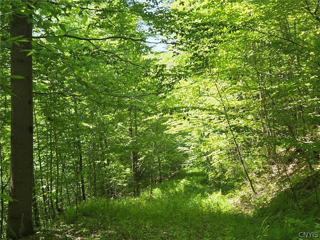 446 Nys Route Cuba, NY 14727 - Photo 36 of 47
