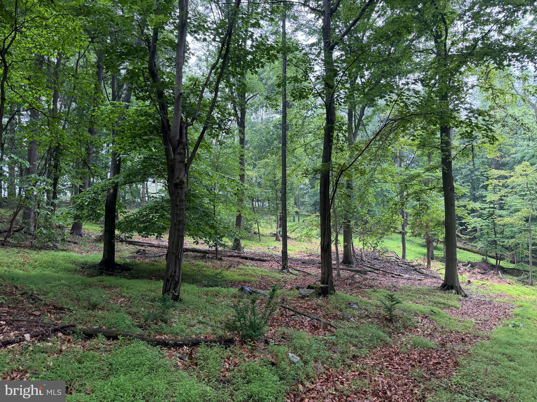 11915 Cove Road Clear Spring, MD 21722 - Photo 76 of 86