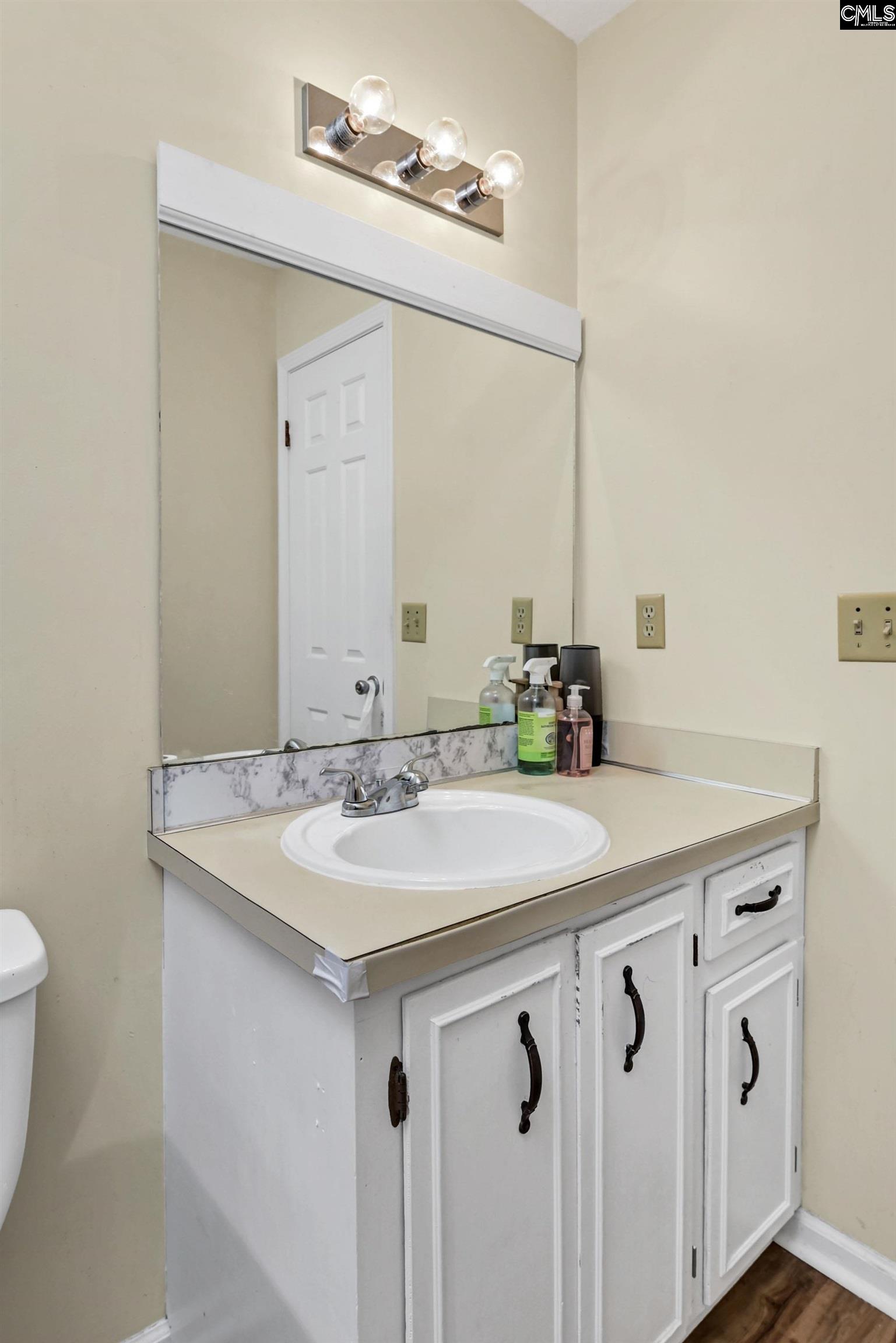337 Chapelwhite Road Irmo, SC 29063 - Photo 25 of 29