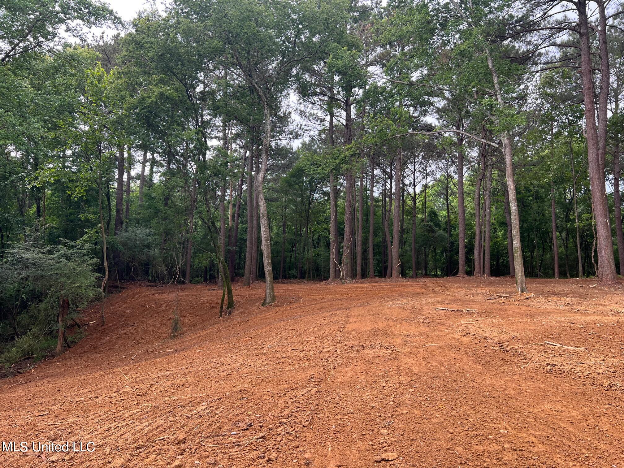 Pearl River Canton, MS 39046 - Photo 14 of 16 IMG_7220