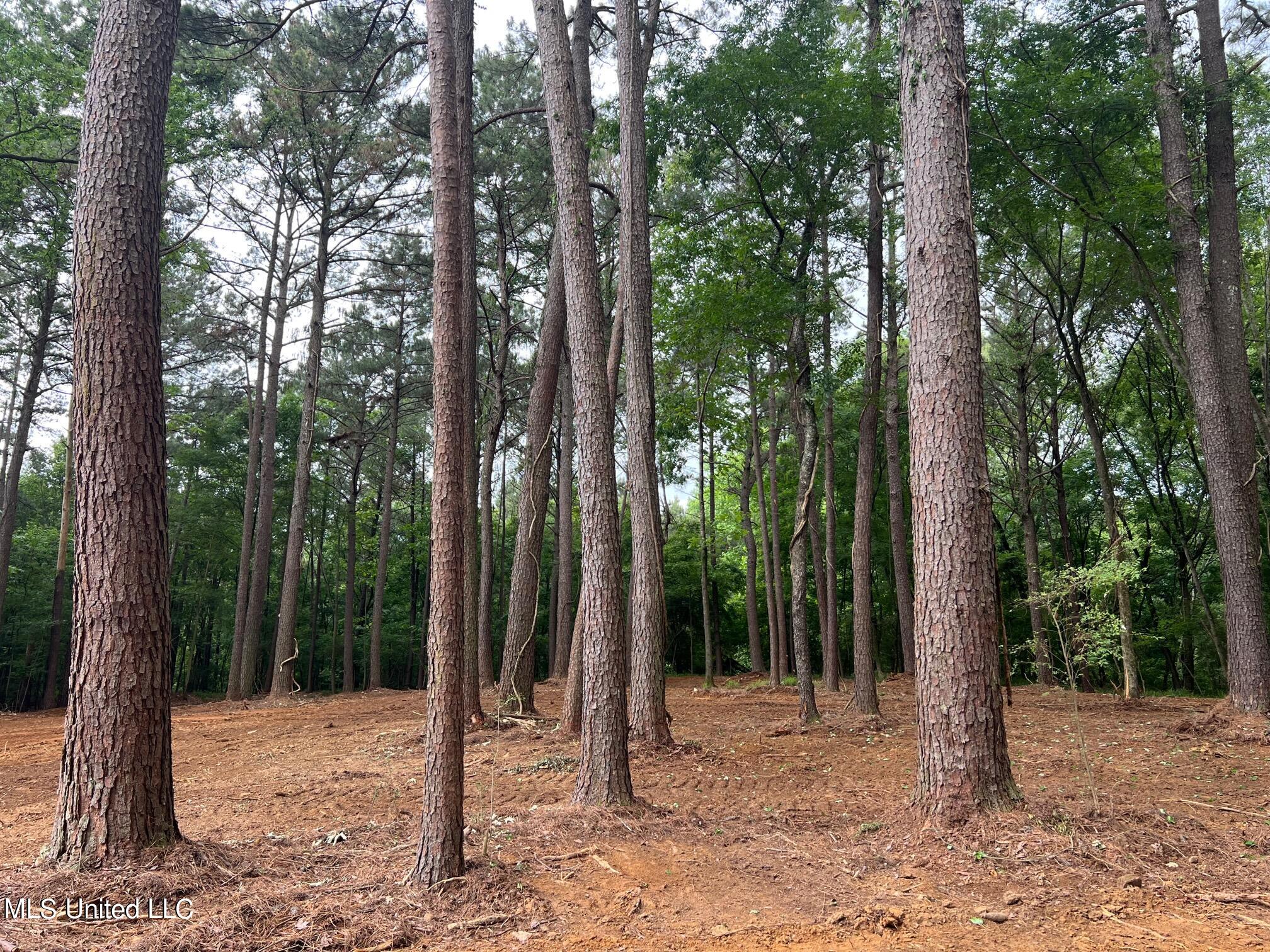 Pearl River Canton, MS 39046 - Photo 15 of 16 IMG_7221