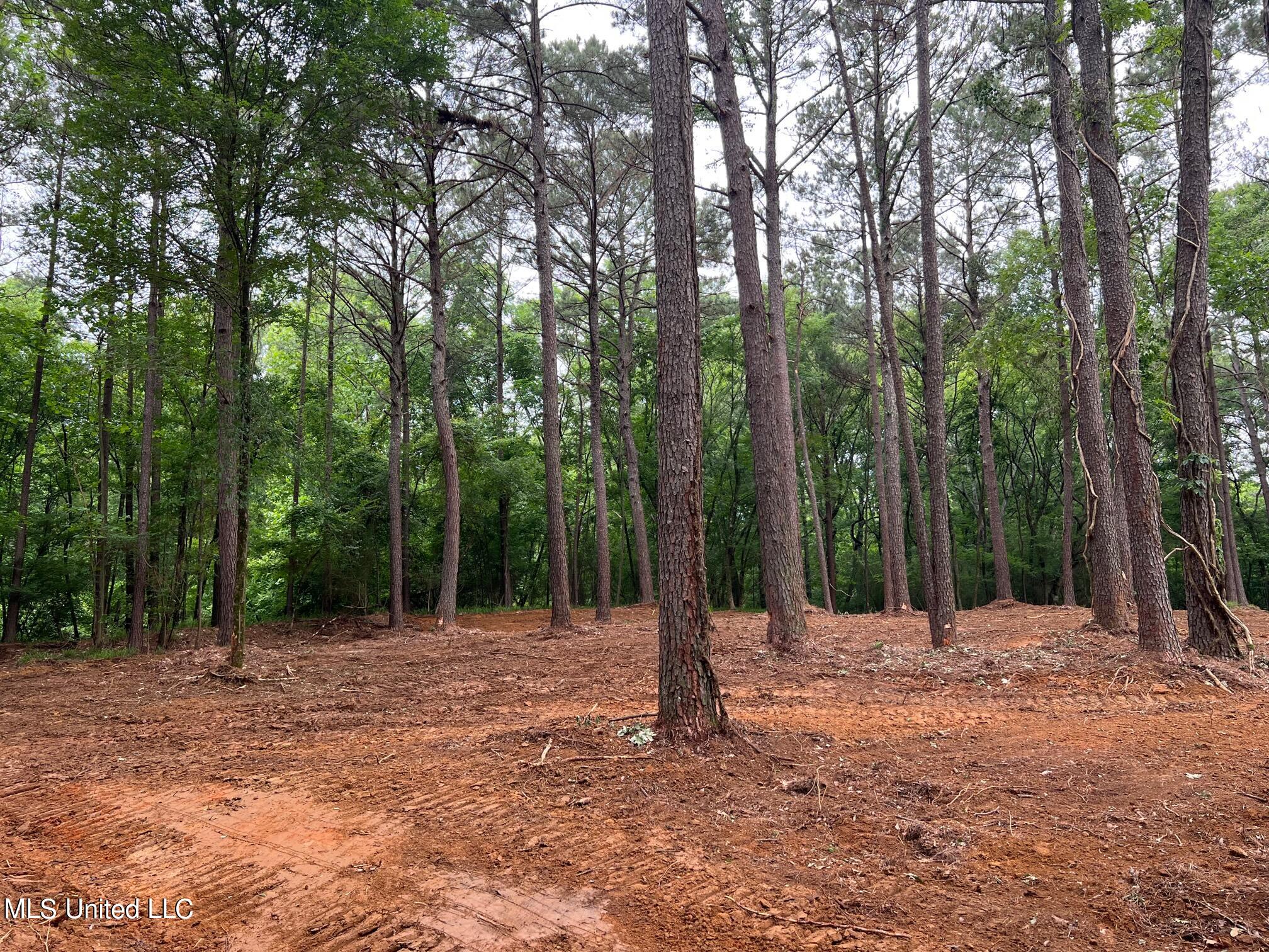 Pearl River Canton, MS 39046 - Photo 16 of 16 IMG_7224