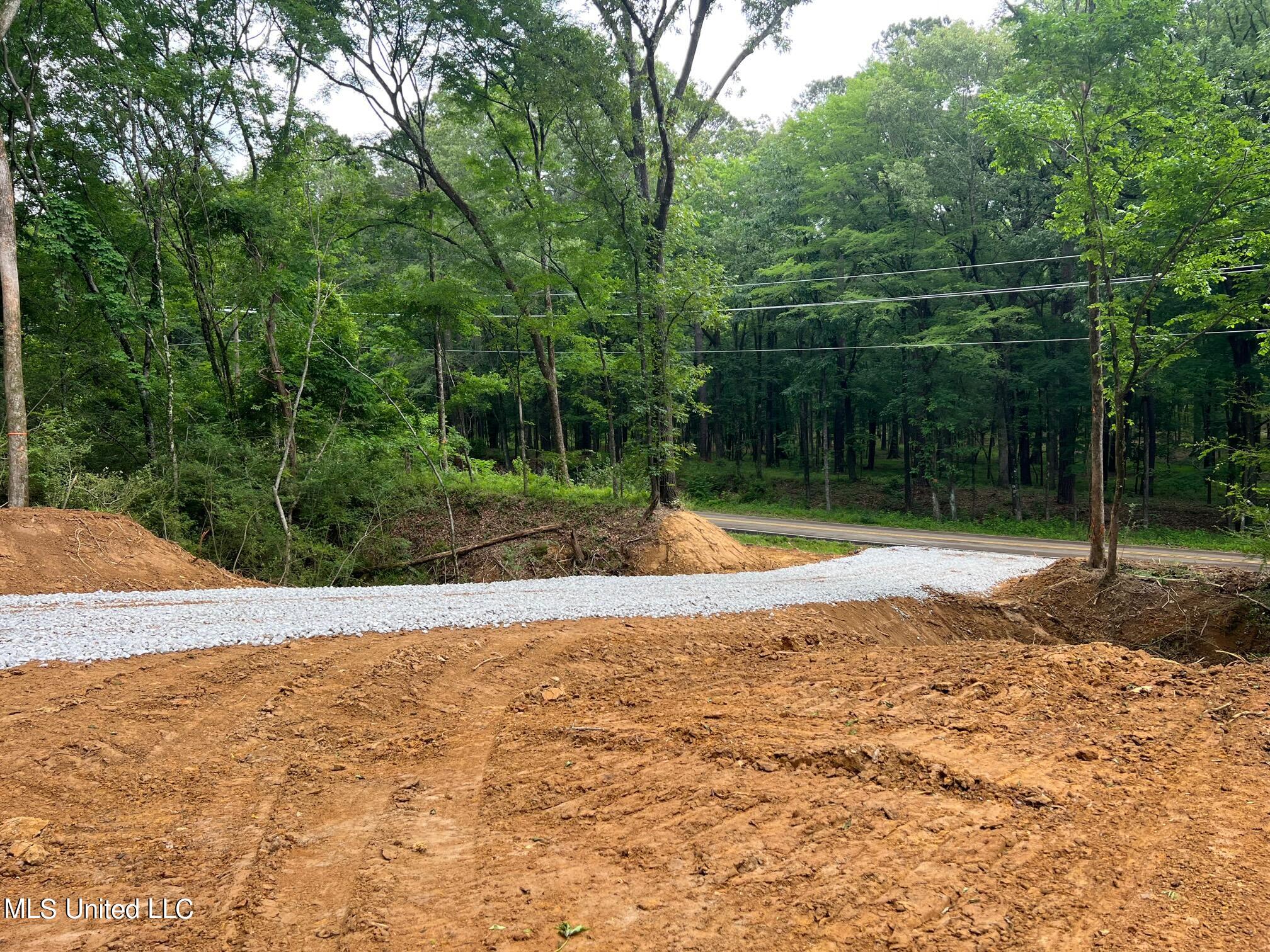 Pearl River Canton, MS 39046 - Photo 3 of 16 IMG_7218