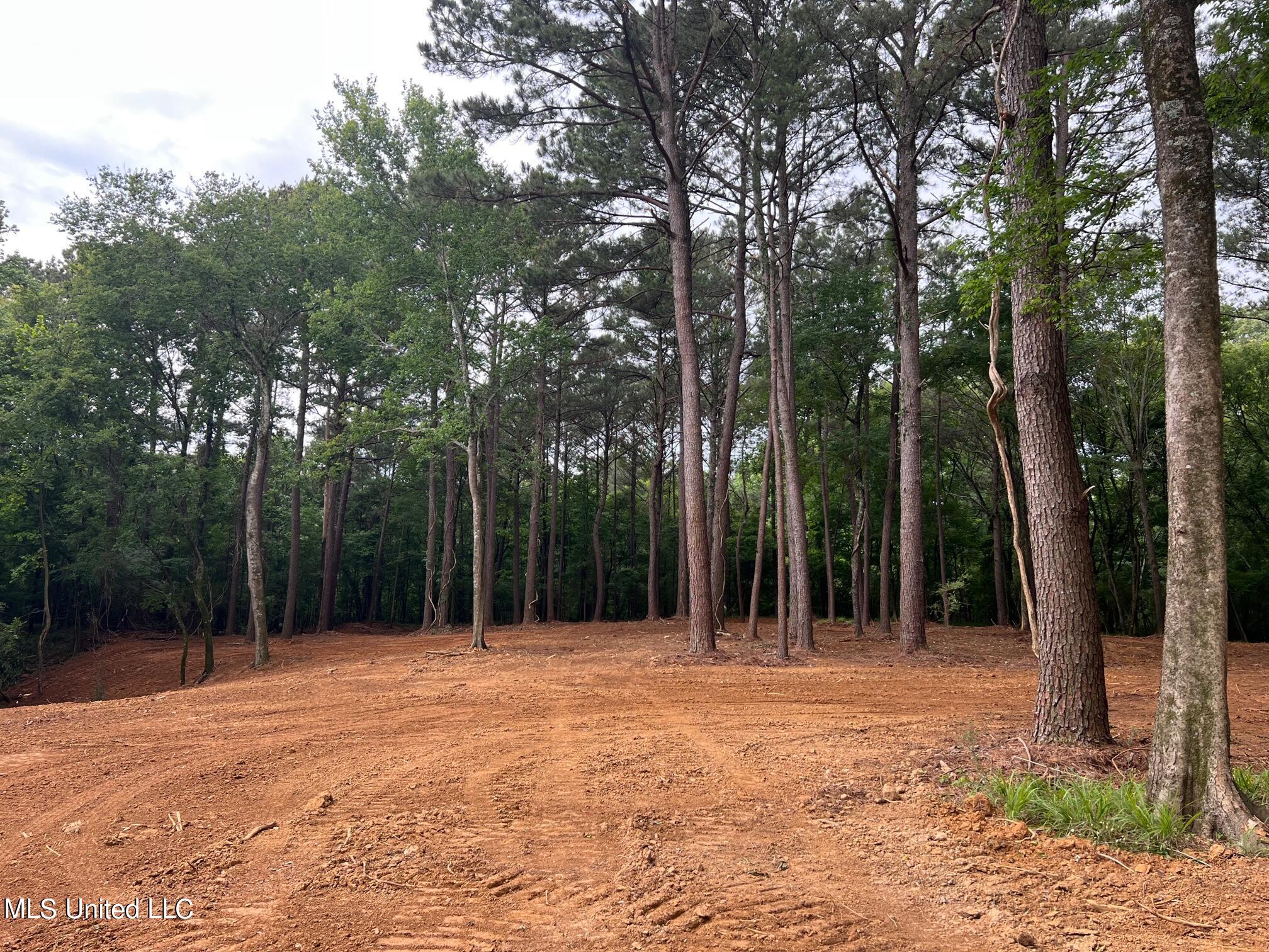 Pearl River Canton, MS 39046 - Photo 4 of 16 IMG_7217