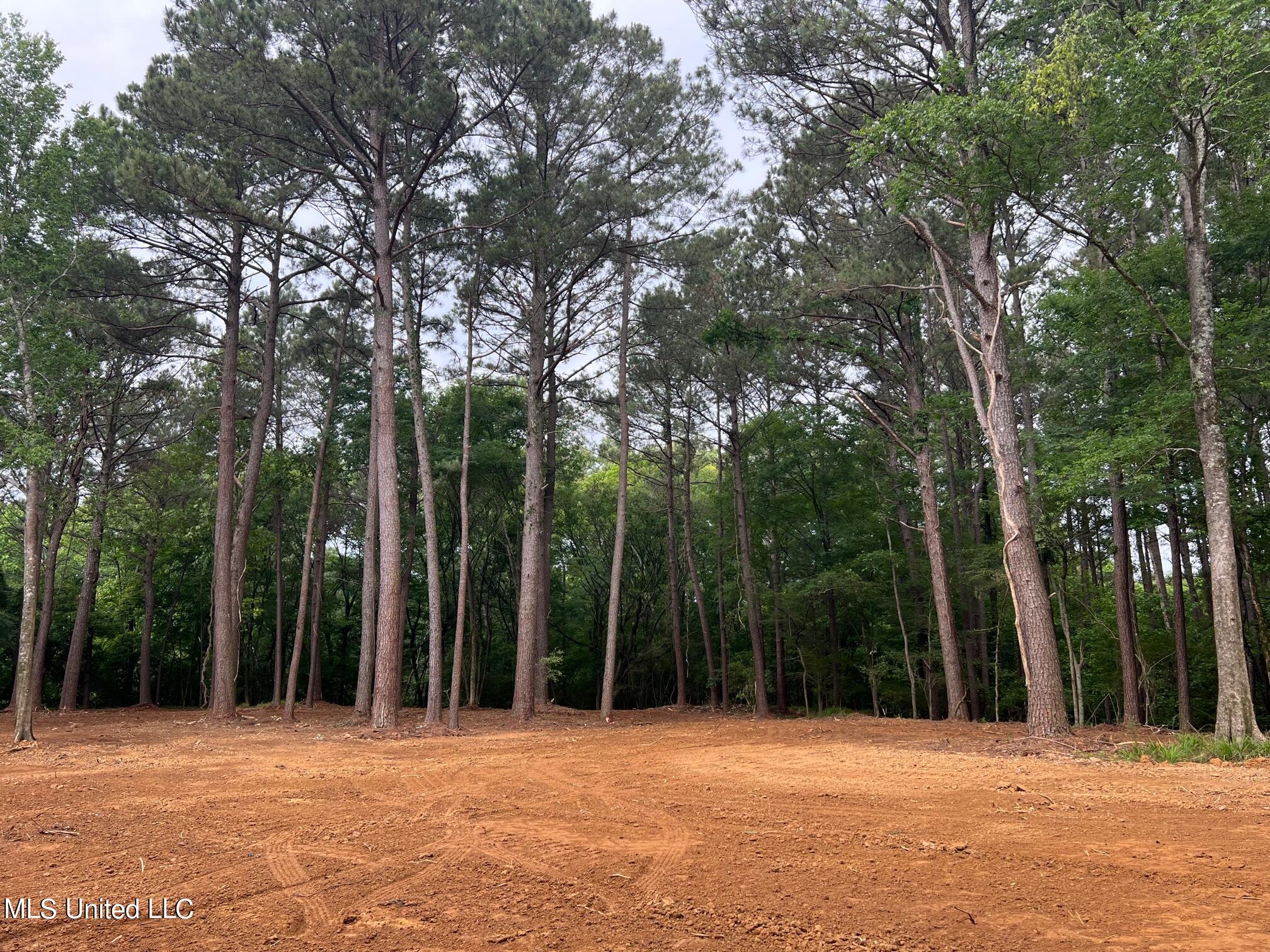 Pearl River Canton, MS 39046 - Photo 5 of 16 IMG_7219