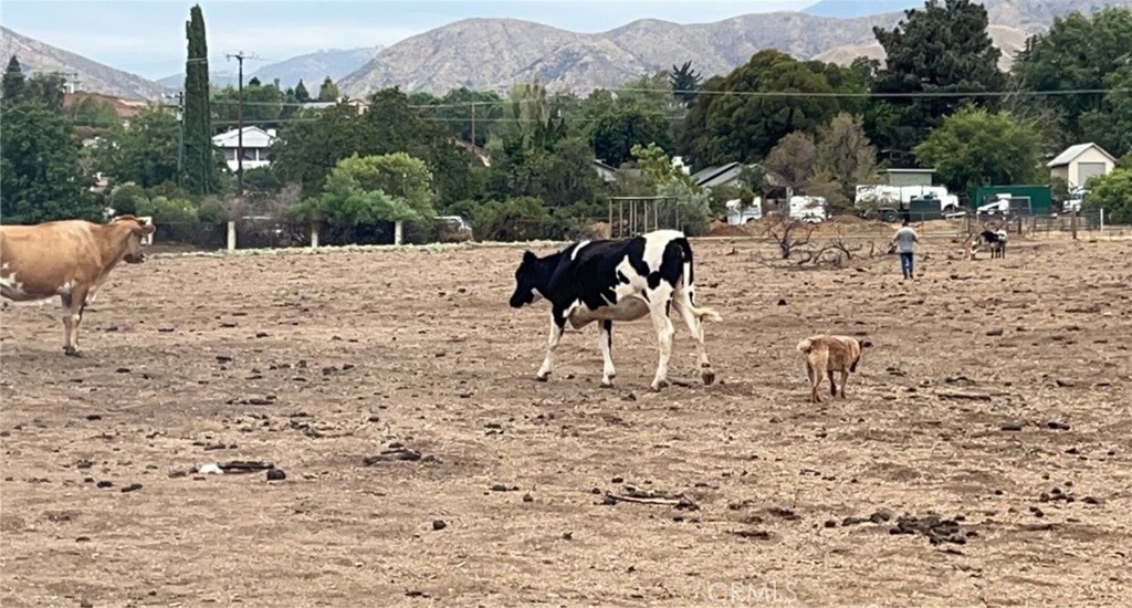 0 Gilman Street Banning, CA 92220 - Photo 5 of 7