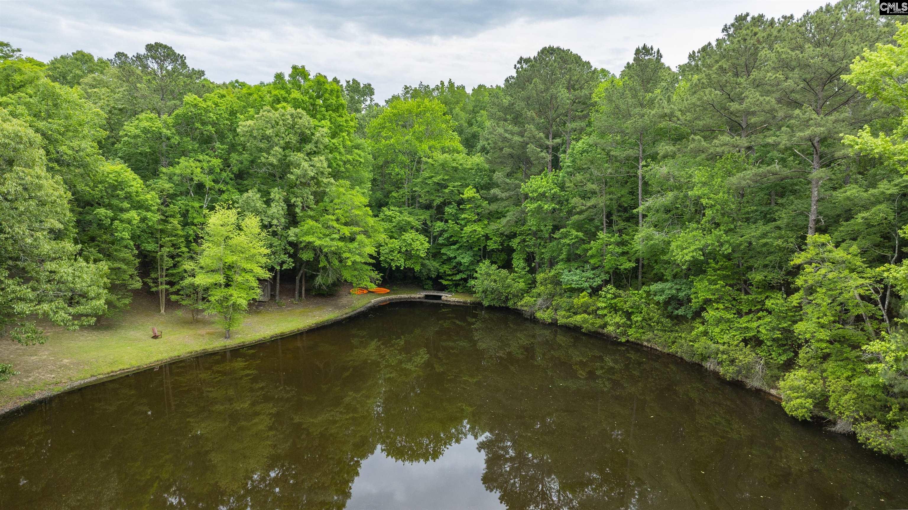 150 Four Foxes Lane Chapin, SC 29036 - Photo 17 of 82