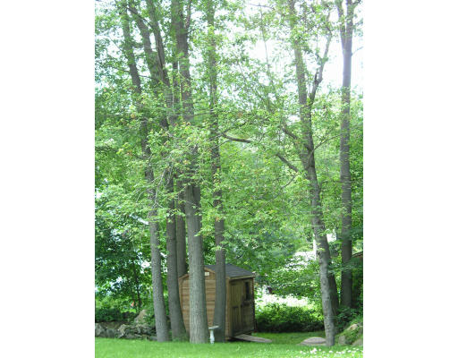 53 Huntington Road Arlington, MA 02474 - Photo 6 of 6 Gallery Image 6