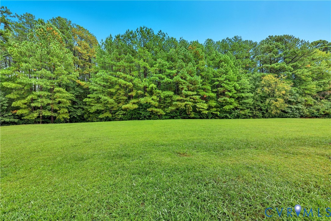 22419 Shippings Road McKenney, VA 23872 - Photo 31 of 35 a view of field with grass and trees