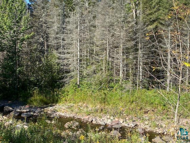 Two Big Rock Road Two Harbors, MN 55616 - Photo 20 of 27