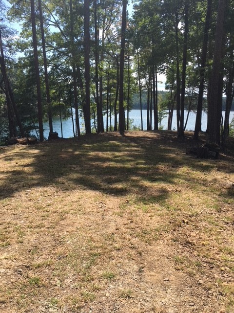 819 Top Ridge Drive Sunset, SC 29685 - Photo 3 of 7
